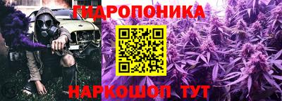 мяу мяу мука Шахты